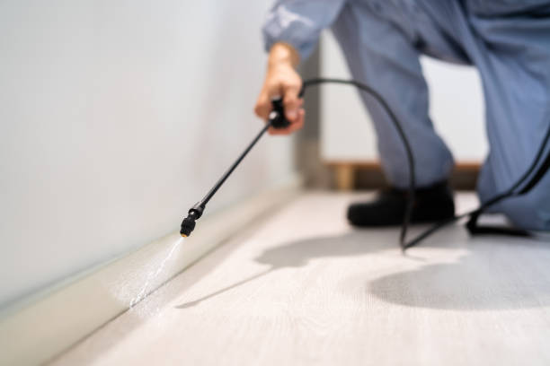 Licensed Termite Control service in Lamont, MI - Nex Pest Control