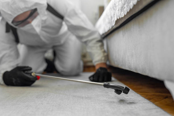Professional Termite Control technician working in Lamont, MI