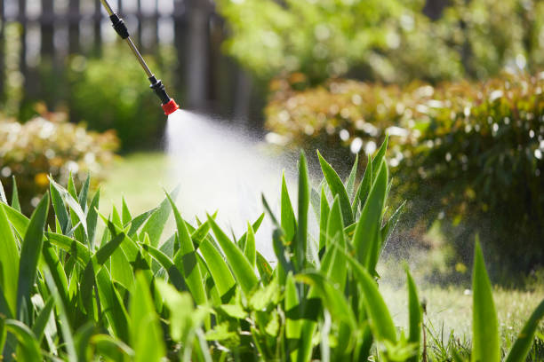 24/7 Emergency Termite Control experts in Lamont, MI