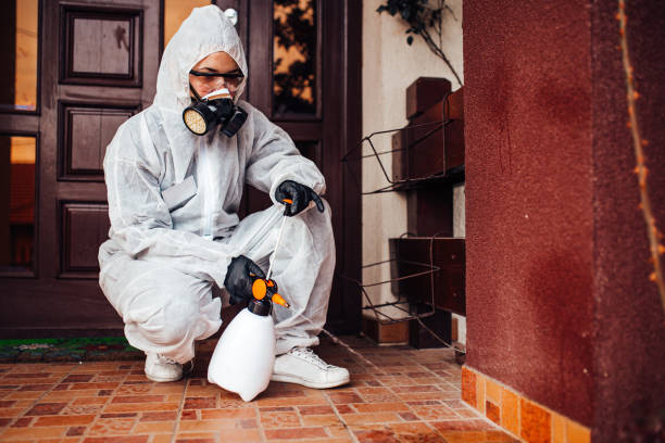Reliable Termite Control contractor in Lamont, MI by Nex Pest Control