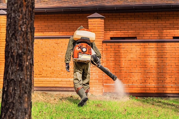 Trusted Cockroach Control service in Lamont, MI - Nex Pest Control
